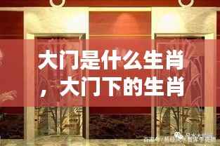 大门下的生肖奥秘,探寻生肖与家居风水的不解之缘