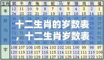 揭秘十二生肖岁数表，洞悉年龄与属相背后的奥秘关系解析