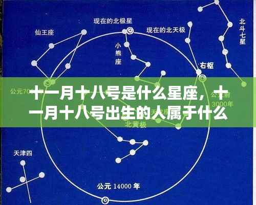 十一月十八号星座运势解读与案例分析,揭秘天蝎座性格特质及未来走向