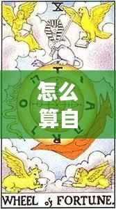 如何解读命运之轮与星座运势,掌握个人命运的关键秘诀