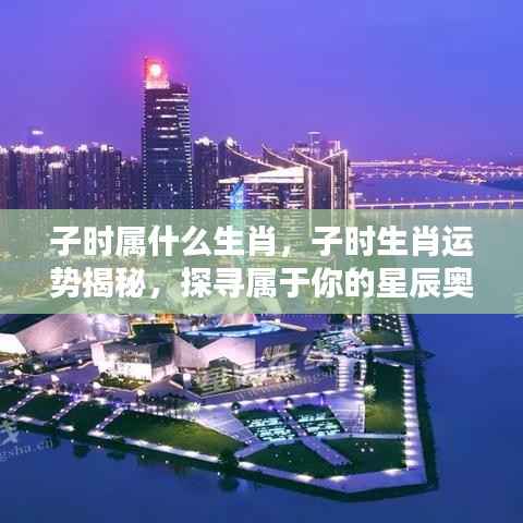 子时生肖运势揭秘,探寻属于你的星辰奥秘与生肖运势