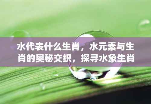 水元素与生肖的奥秘交织,探寻水象生肖的独特魅力与象征意义