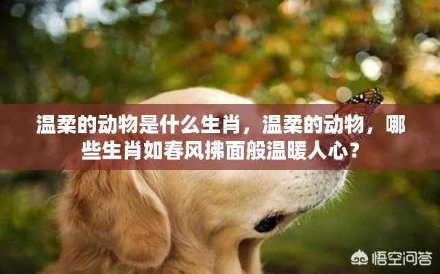 温柔的生肖动物,揭秘哪些生肖如春风拂面般温暖人心