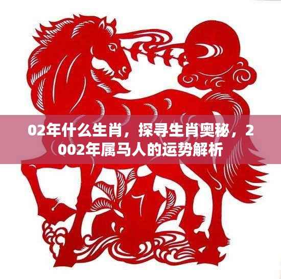 探寻生肖奥秘,2002年属马人的运势解析
