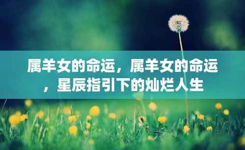 属羊女的命运,星辰照耀下的灿烂人生之旅