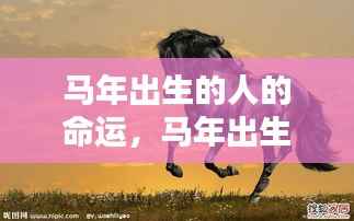 马年出生者的命运展望,如骏马奔腾,命运究竟多舛还是顺风顺水?