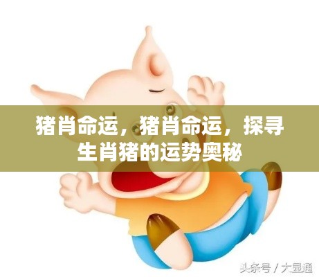 生肖猪的运势奥秘探寻,猪肖命运详解