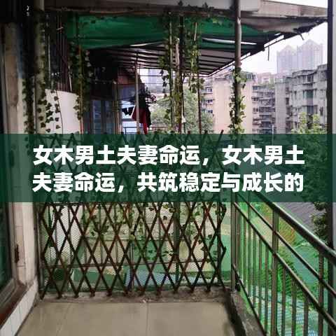 女木男土夫妻命运,共筑稳定与成长,双人组合展现和谐之力