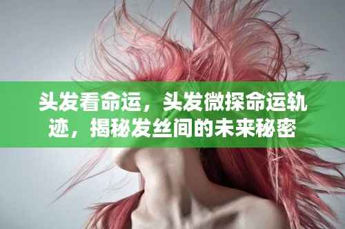 头发微探命运轨迹,揭秘发丝间的未来秘密与命运之谜