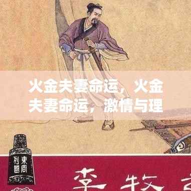 火金夫妻命运,激情与理智的交融之旅