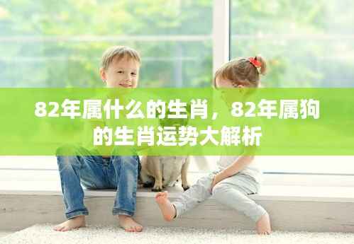 1982年属狗人的生肖运势全面解析