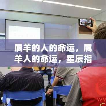 星辰指引下的属羊人命运,独特人生轨迹探索