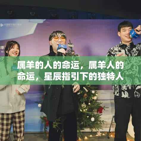 星辰指引下的属羊人命运,独特人生轨迹探索