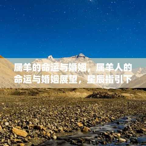 星辰指引下的属羊命运与婚姻展望,幸福之路探寻