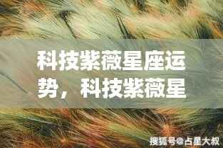 科技紫薇星座运势揭秘,未来神秘与科技交织之旅探索