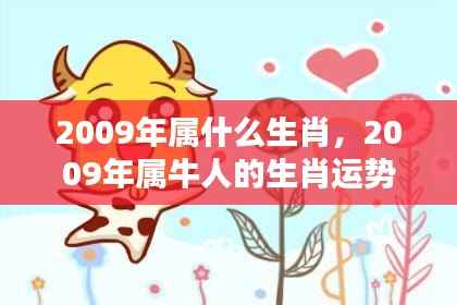 2009年属牛人的生肖运势,耕耘与收获的双重奏