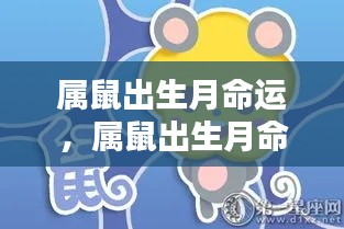 星辰指引下的属鼠命运解析,出生月对命运的影响揭秘