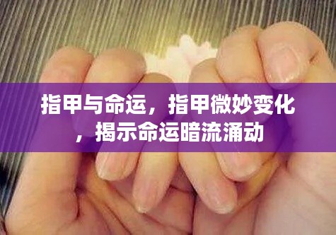 指甲微变揭示命运暗流涌动,命运与指甲的微妙关联