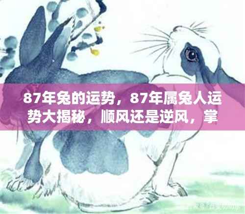 揭秘87年属兔人的运势走向,顺风还是逆风?