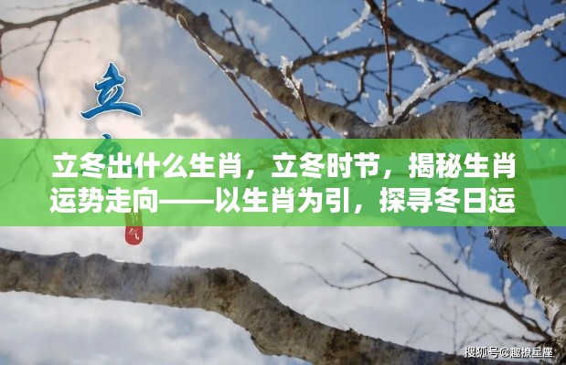 立冬时节生肖运势揭秘,探寻冬日运势奥秘,揭秘生肖运势走向新篇章