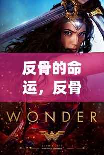 反骨命运,挑战转折中的个人成长之旅