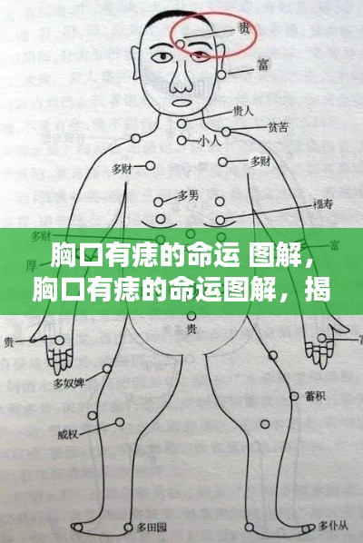 揭秘胸口痣相与人生轨迹的微妙联系,图解痣相命运之谜!