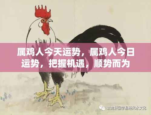 属鸡人今日运势,把握机遇,顺势而为的幸运指南