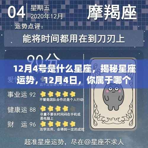 揭秘12月4日的星座运势与特点,你属于哪个星座?