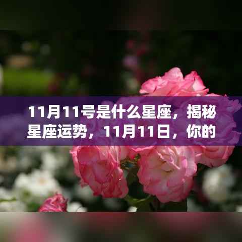 揭秘11月11日星座运势,你的星座运势如何?
