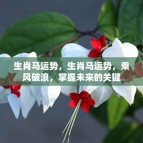 生肖马运势展望,乘风破浪,掌握未来的关键之道