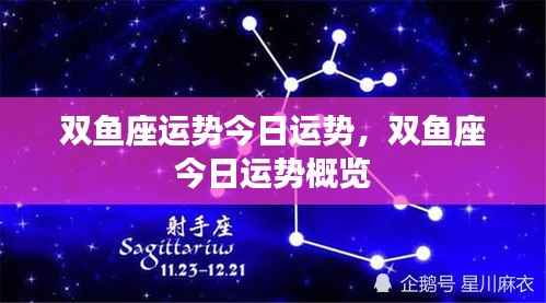 双鱼座今日运势概览及运势分析