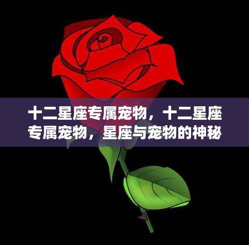 星座与宠物的神秘缘分,十二星座专属宠物