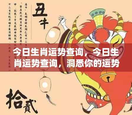 今日生肖运势详解,洞悉你的运势起伏查询