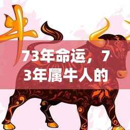 73年属牛人的命运全面解析,生肖与命运深度探讨
