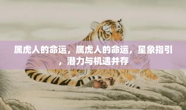属虎人的命运,星象指引下的潜力与机遇并存
