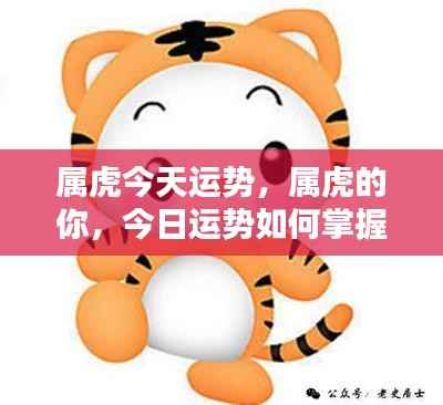 属虎今日运势揭秘,如何把握好运之星?