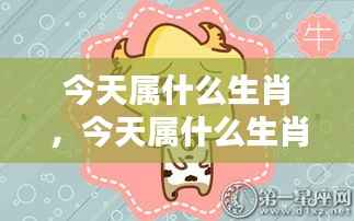 今日生肖运势揭秘,全面解析今日生肖运势!