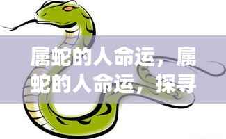 属蛇人的命运探索,星象中的智慧与机遇展望