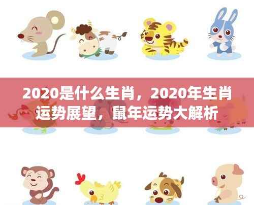 2020年生肖运势展望,鼠年运势全面解析