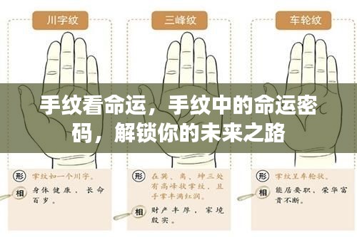 手纹揭示命运密码,探索未来之路的奥秘