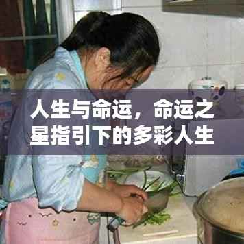 命运之星指引下的绚烂人生,探索命运与人生的多彩交织