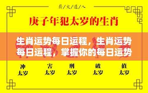 每日生肖运势解析,开启你的幸运之门