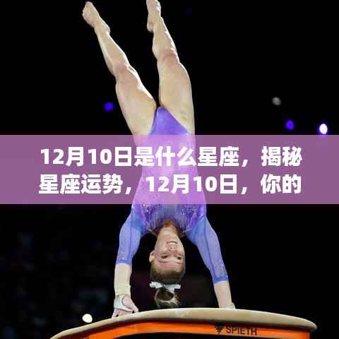 揭秘星座运势,12月10日星座运势详解及运势预测