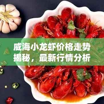 威海小龙虾价格走势揭秘,最新行情分析!
