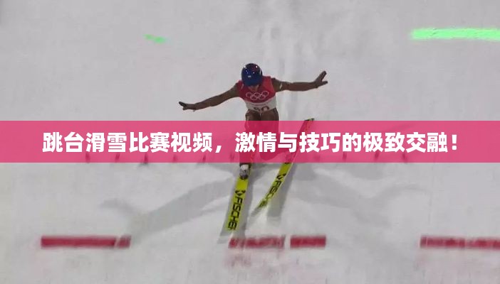 文贵天成 第3页