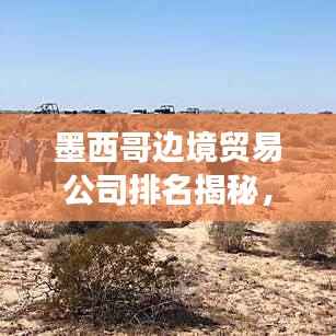 寥寥无几 第3页