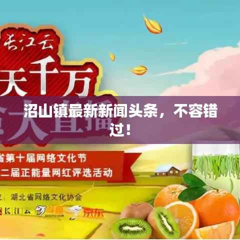 沼山镇最新新闻头条,不容错过!