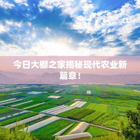 今日大棚之家揭秘现代农业新篇章!