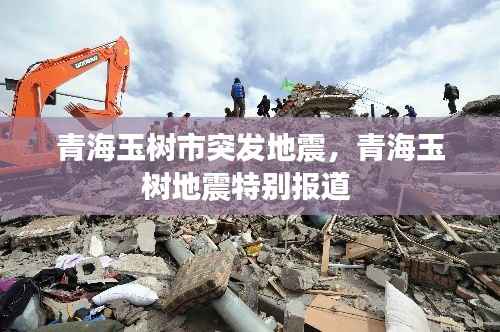 青海玉树市突发地震,青海玉树地震特别报道