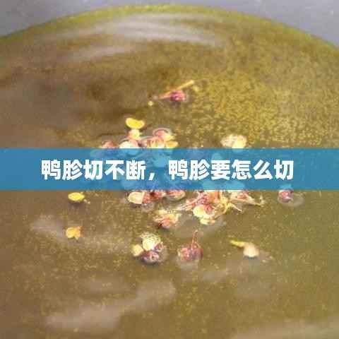 囫囵吞枣 第2页